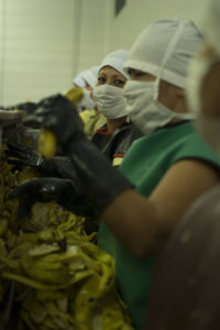 MitarbeiterInnen in Ecuador