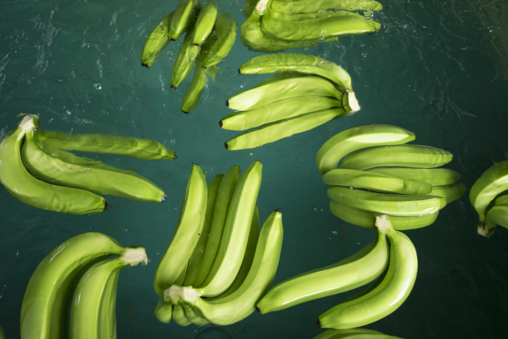 Bananen werden gereinigt