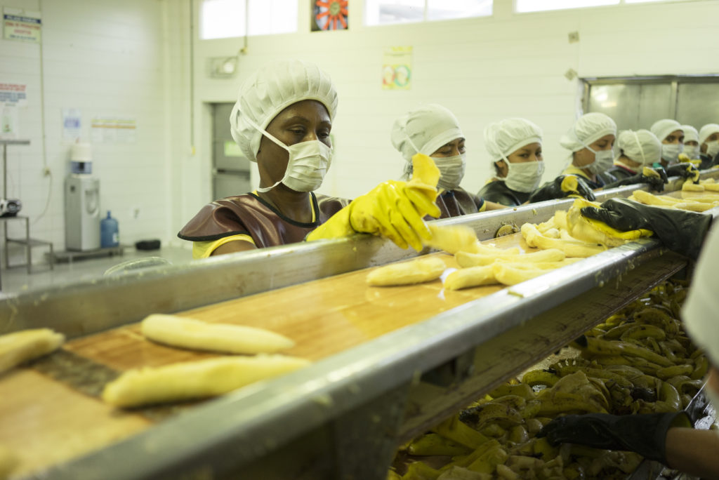 Bananen werden verarbeitet