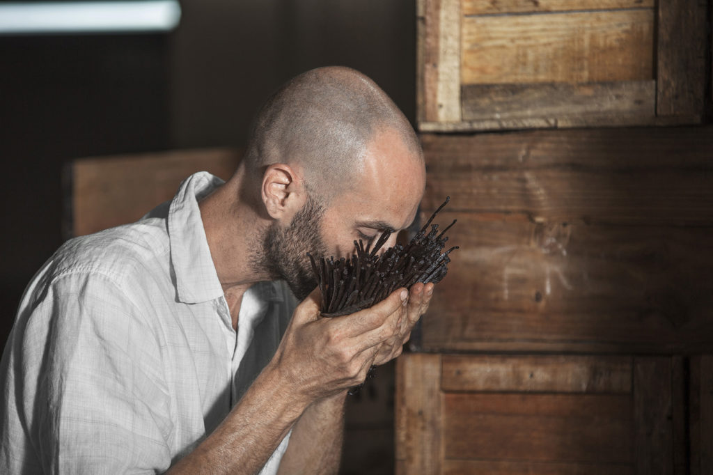 Vanilleanbau von Symrise