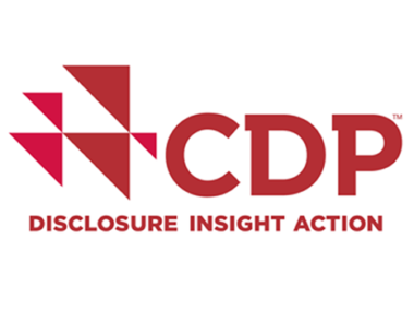 CDP_logo_RGB_angepasst