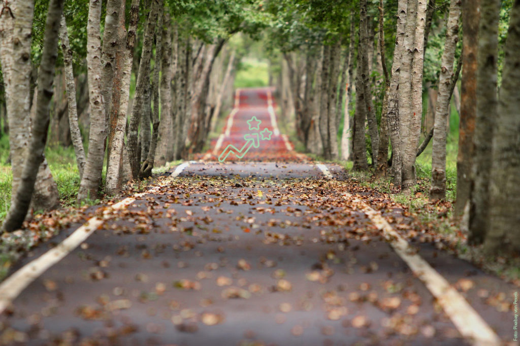 Ein schmaler Weg führt in die Ferne. Der Weg ist gesäumt von grünen Bäumen für Nachhaltigkeit. In die Mitte des Weges ist ein Icon platziert. Das Icon stellt einen Pfeil dar, der eine Positivbewegung eines Fonds darstellt. An der Pfeilspitze befinden sich zwei Sterne.